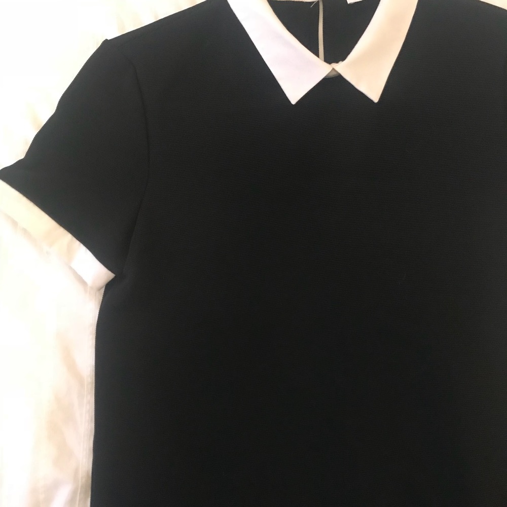 Zara Trafaluc Dress - Picture 3 of 3